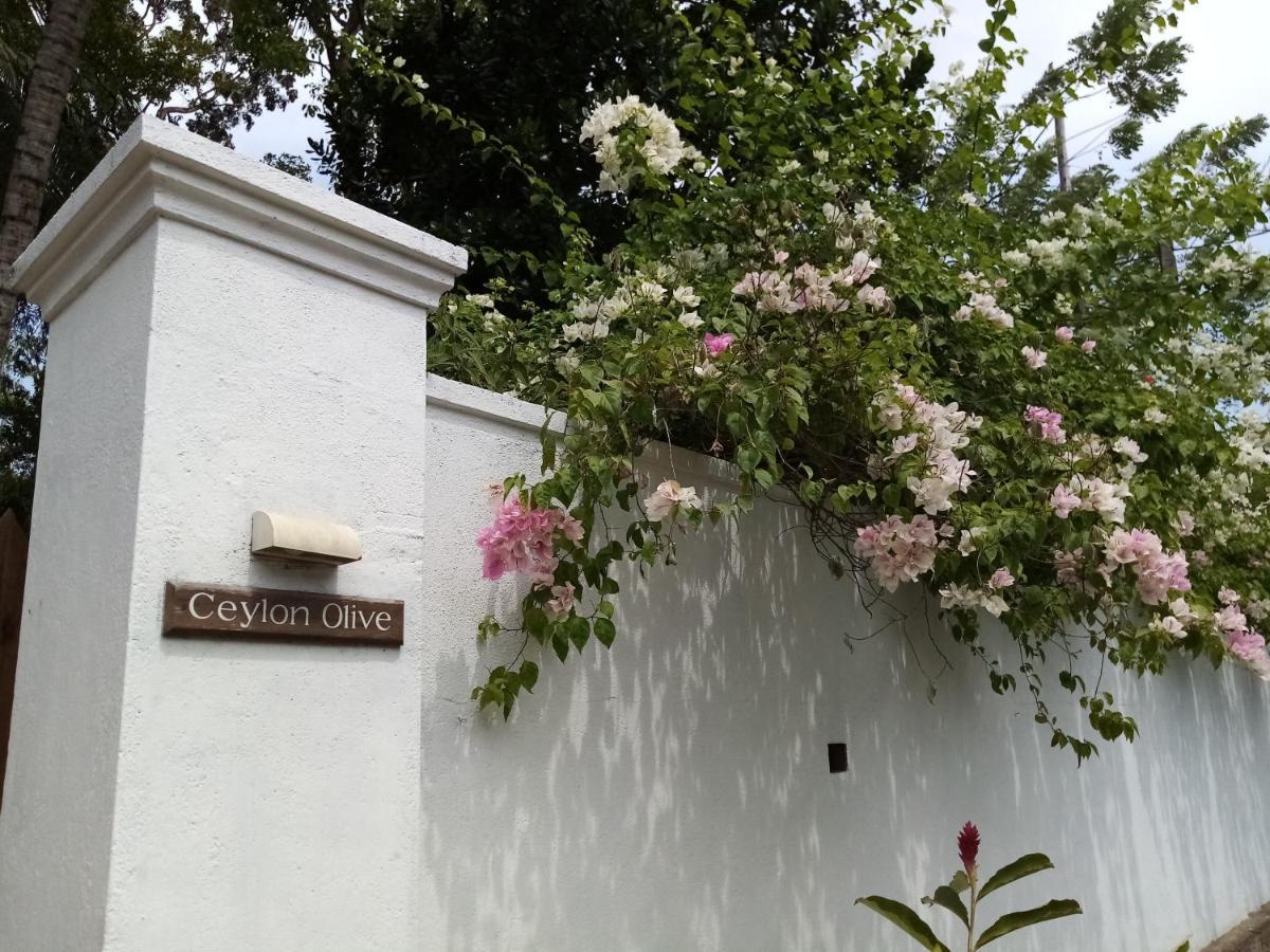 Ceylon Olive Galle Exterior foto